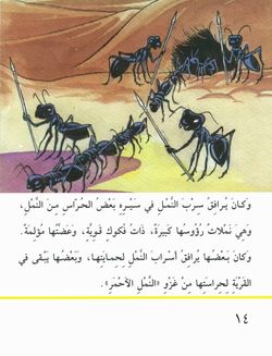 hilokal-notebook-image