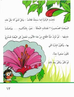 hilokal-notebook-image