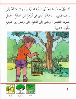 hilokal-notebook-image