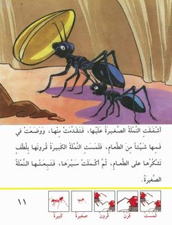 hilokal-notebook-image