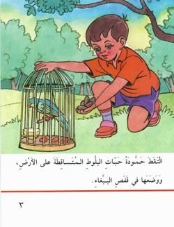 hilokal-notebook-image