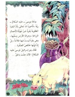 hilokal-notebook-image