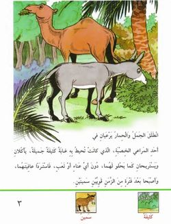 hilokal-notebook-image