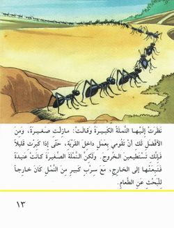 hilokal-notebook-image