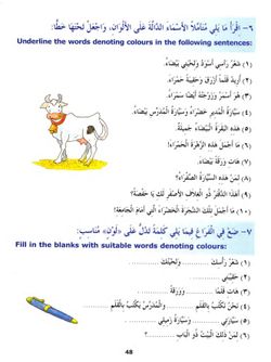 hilokal-notebook-image