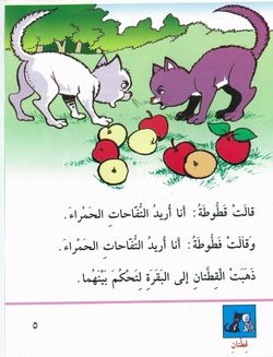 hilokal-notebook-image