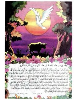 hilokal-notebook-image