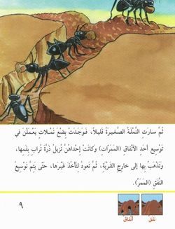 hilokal-notebook-image
