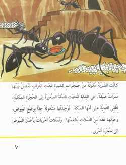 hilokal-notebook-image