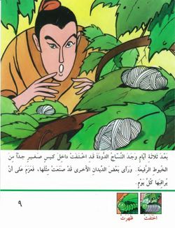 hilokal-notebook-image
