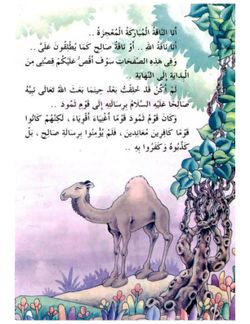 hilokal-notebook-image