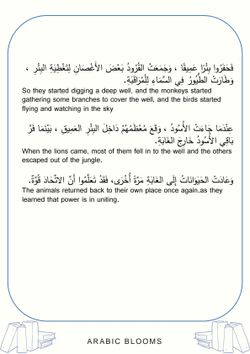 hilokal-notebook-image