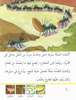 hilokal-notebook-image
