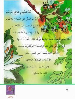 hilokal-notebook-image