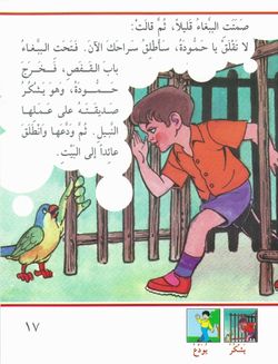 hilokal-notebook-image