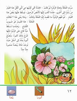 hilokal-notebook-image