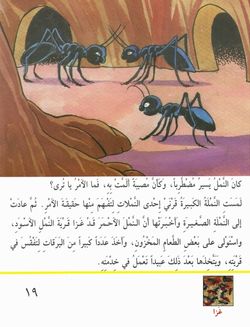 hilokal-notebook-image