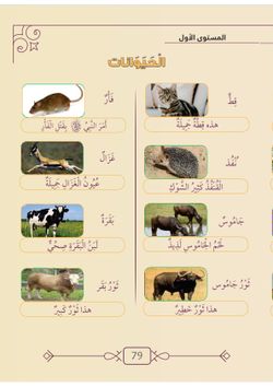 hilokal-notebook-image