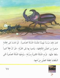 hilokal-notebook-image