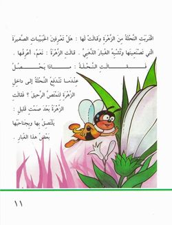 hilokal-notebook-image