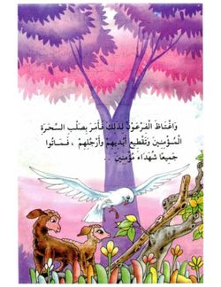 hilokal-notebook-image