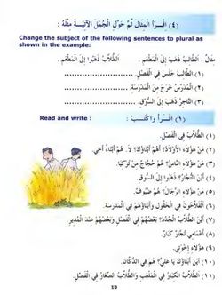 hilokal-notebook-image