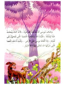 hilokal-notebook-image
