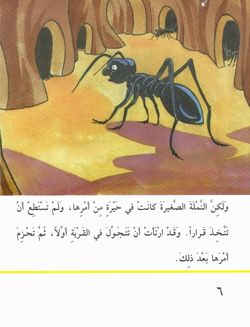 hilokal-notebook-image