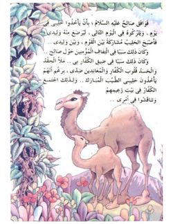 hilokal-notebook-image
