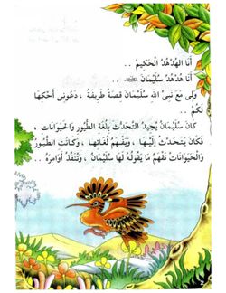 hilokal-notebook-image