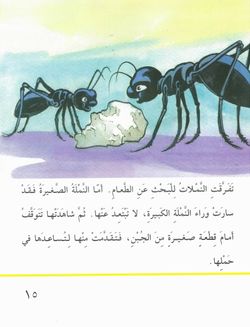 hilokal-notebook-image