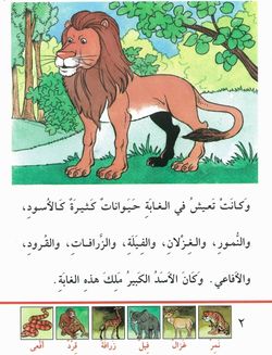 hilokal-notebook-image