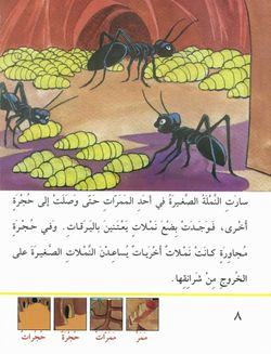 hilokal-notebook-image
