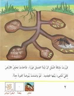 hilokal-notebook-image