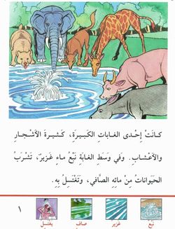 hilokal-notebook-image