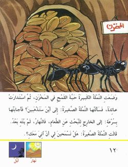 hilokal-notebook-image