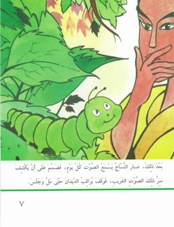 hilokal-notebook-image