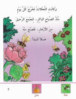 hilokal-notebook-image