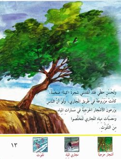 hilokal-notebook-image