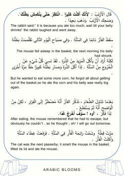 hilokal-notebook-image
