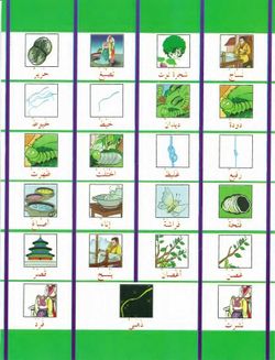 hilokal-notebook-image