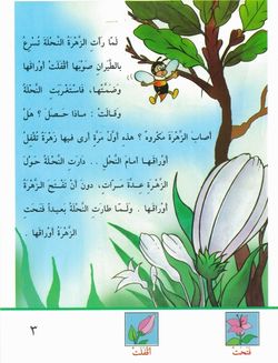 hilokal-notebook-image