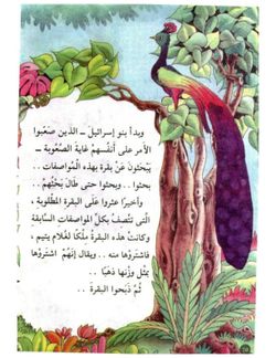 hilokal-notebook-image