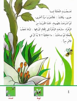hilokal-notebook-image