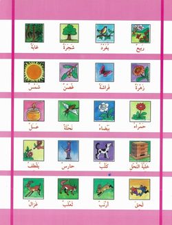 hilokal-notebook-image