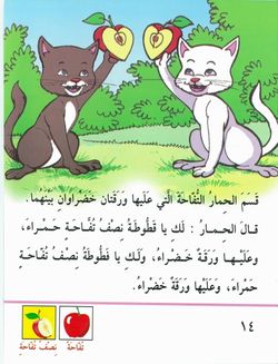 hilokal-notebook-image