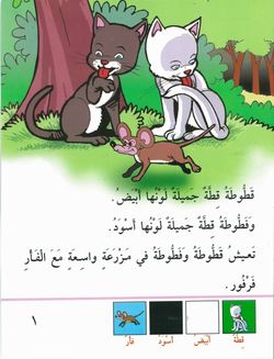 hilokal-notebook-image