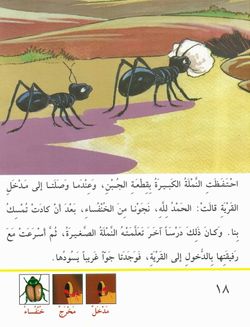 hilokal-notebook-image
