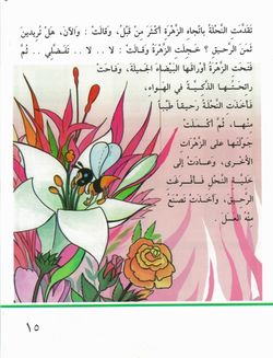 hilokal-notebook-image