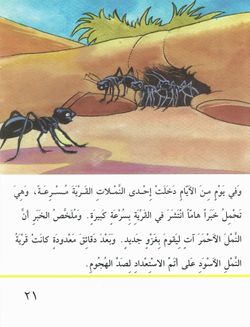 hilokal-notebook-image